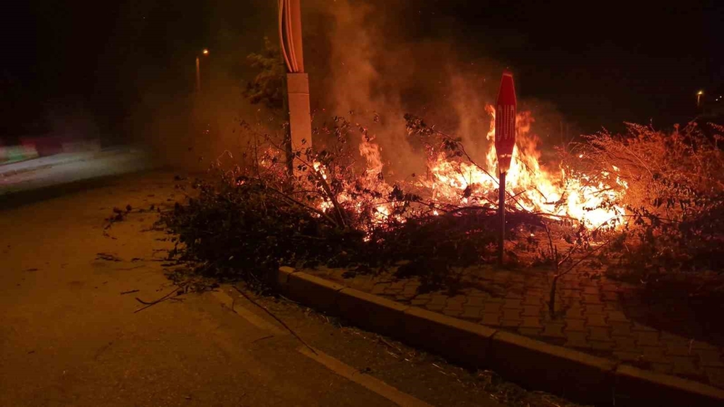 Çorum Alaca'da örtü yangını kontrol altına alındı