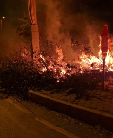 Çorum Alaca'da örtü yangını kontrol altına alındı
