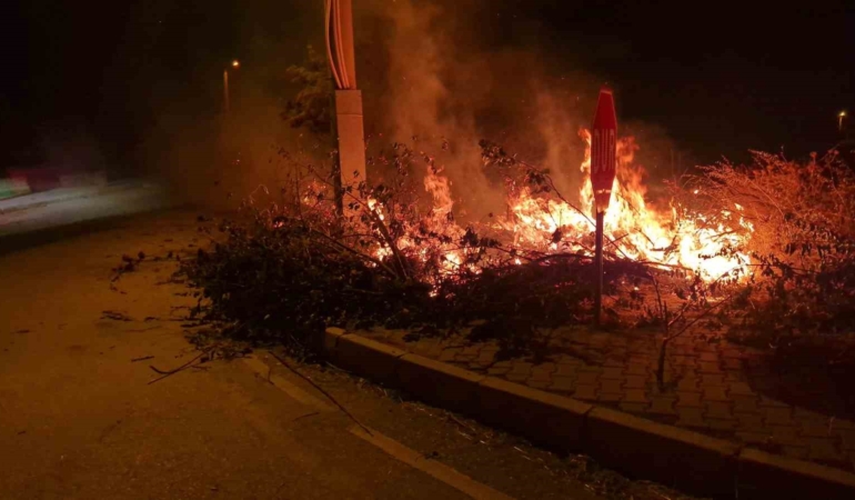 Çorum Alaca'da örtü yangını kontrol altına alındı