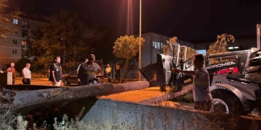 Çorum'da Rüzgar Ağaç Devrildi, Araç Hasar Gördü