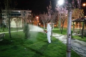 Çorum'da vektörel mücadele çalışmaları sürüyor