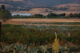 Dalaman Ovası'nda modern sulama sistemi inşaatı sürüyor