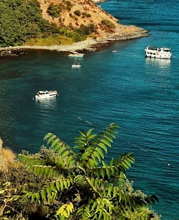 Denizlerde palamut bolluğu bekleniyor