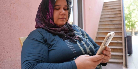 Denizli'de sokak hayvanlarının zehirlenmesiyle ilgili inceleme başlatıldı