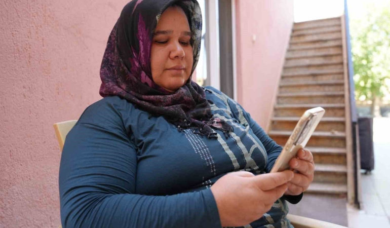 Denizli'de sokak hayvanlarının zehirlenmesiyle ilgili inceleme başlatıldı