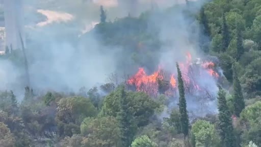 Dilovası'nda orman yangını paniğe neden oldu