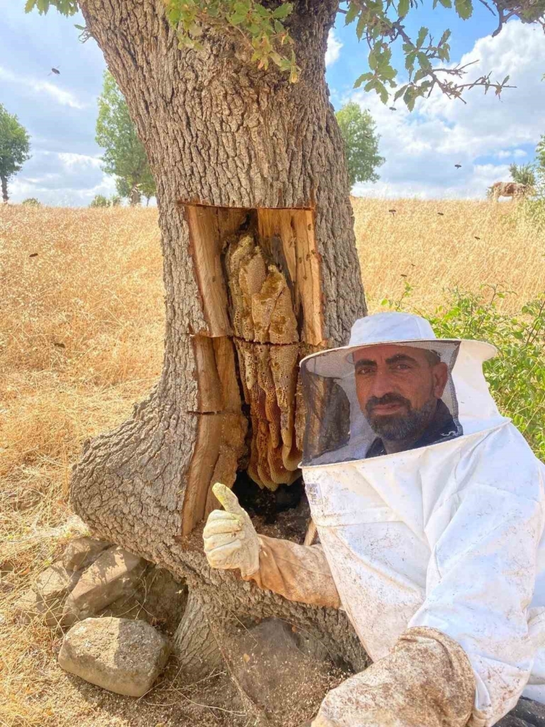 Diyarbakır'da Arıların İzini Sürüp Bal Çıkardılar