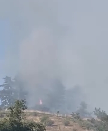 Düzce Yığılca'daki orman yangını hızla söndürüldü
