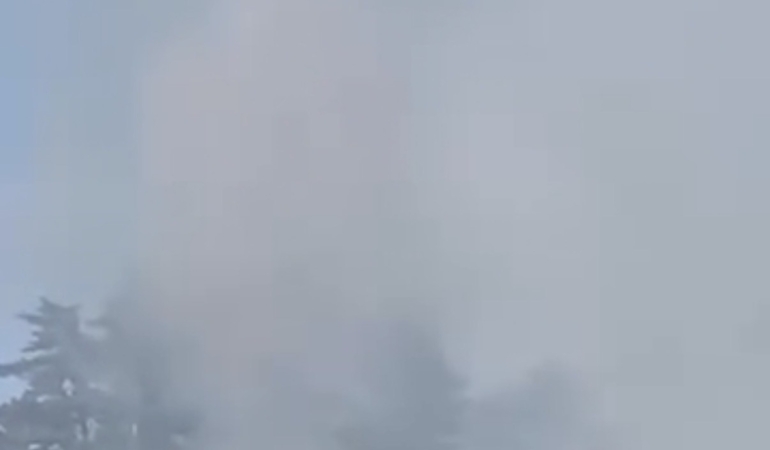 Düzce Yığılca'daki orman yangını hızla söndürüldü