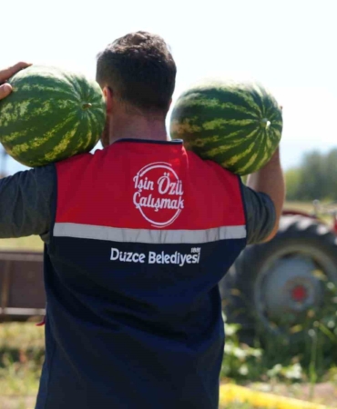 Düzce'de Ata Tohumlarından Üretilen Karpuzlar İhtiyaç Sahiplerine Ulaştırıldı