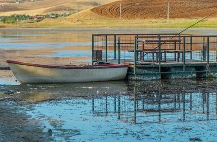 Düzce'de palamut bolluğu tezgahlara yansıdı