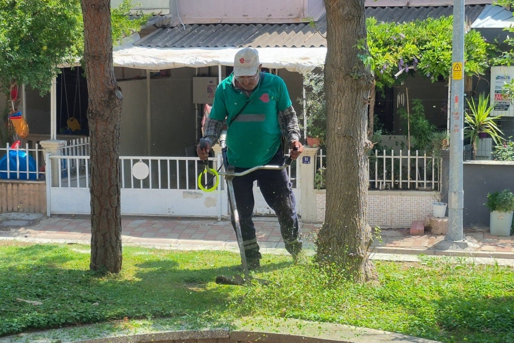 Efeler'de yeşil alan bakımı devam ediyor