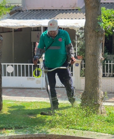 Efeler'de yeşil alan bakımı devam ediyor