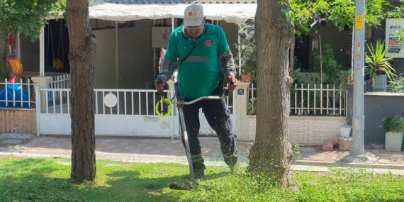 Efeler'de yeşil alan bakımı devam ediyor