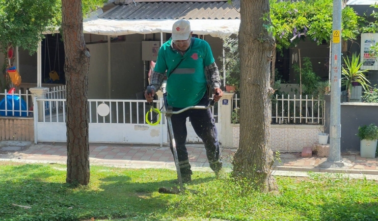Efeler'de yeşil alan bakımı devam ediyor