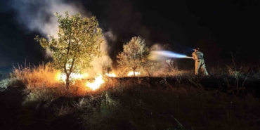 Elazığ'da Kırsalda Başlayan Yangın Ormana Sıçradı
