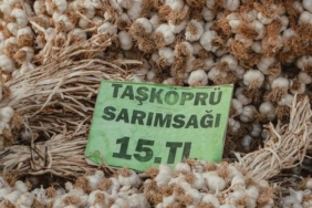 Elazığ'da Sumağın Hasadı Başladı, Kilosu 350 TL'den Satılıyor
