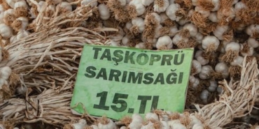 Elazığ'da Sumağın Hasadı Başladı, Kilosu 350 TL'den Satılıyor