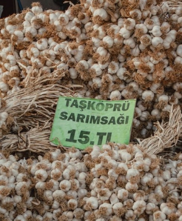 Elazığ'da Sumağın Hasadı Başladı, Kilosu 350 TL'den Satılıyor