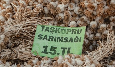 Elazığ'da Sumağın Hasadı Başladı, Kilosu 350 TL'den Satılıyor