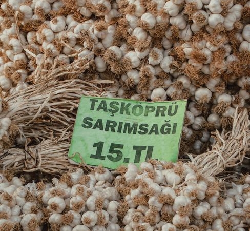 Elazığ'da Sumağın Hasadı Başladı, Kilosu 350 TL'den Satılıyor
