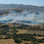 Elazığ'da anız ve bahçe yangınına müdahale devam ediyor