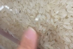 Elazığ'da paketli pirinçte böcekler tespit edildi