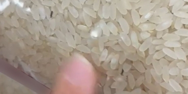 Elazığ'da paketli pirinçte böcekler tespit edildi