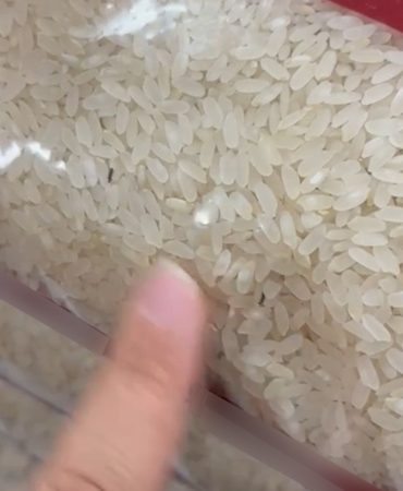 Elazığ'da paketli pirinçte böcekler tespit edildi