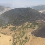 Elazığ'daki orman yangını kontrol altına alındı