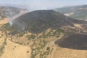 Elazığ'daki orman yangını kontrol altına alındı