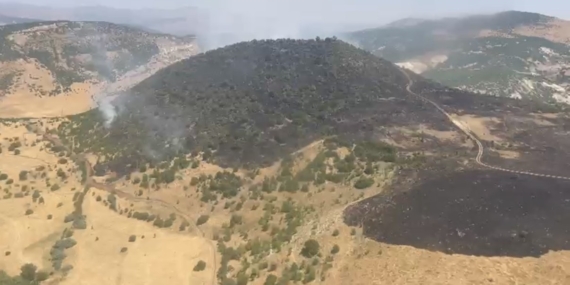 Elazığ'daki orman yangını kontrol altına alındı