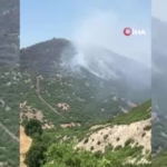 Elazığ'daki orman yangını kontrol altına alındı