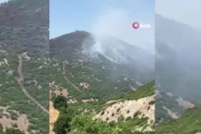 Elazığ'daki orman yangını kontrol altına alındı