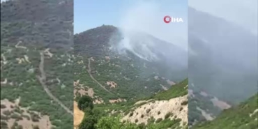 Elazığ'daki orman yangını kontrol altına alındı