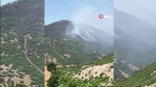 Elazığ'daki orman yangını kontrol altına alındı