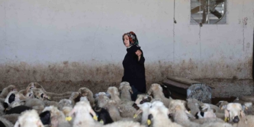 Elazığlı kadın girişimci devlet desteğiyle çiftlik açtı