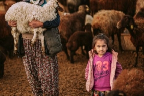 Emet'te hayvancılık destekleri denetleniyor