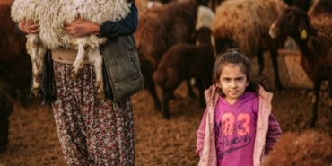 Emet'te hayvancılık destekleri denetleniyor