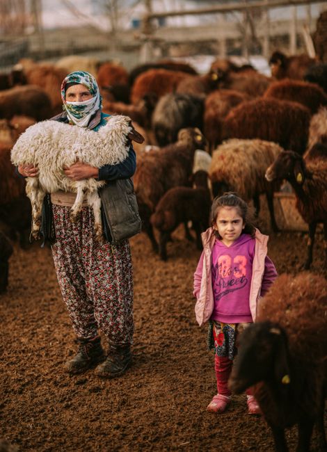 Emet'te hayvancılık destekleri denetleniyor