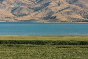 Erzincan'da Manda Yetiştiricileri Birliği Kuruluyor