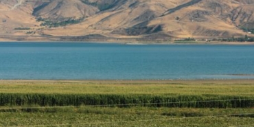Erzincan'da Manda Yetiştiricileri Birliği Kuruluyor