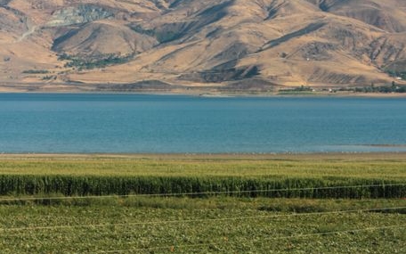 Erzincan'da Manda Yetiştiricileri Birliği Kuruluyor