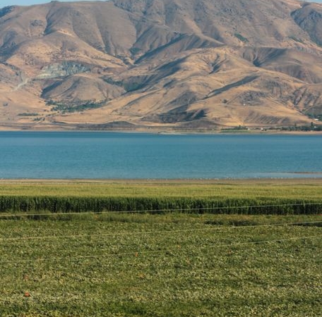 Erzincan'da Manda Yetiştiricileri Birliği Kuruluyor
