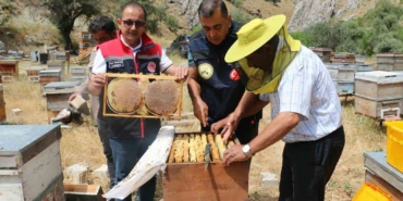 Erzincan'da bal hasadı başladı, 1.500 ton rekolte bekleniyor