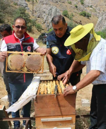 Erzincan'da bal hasadı başladı, 1.500 ton rekolte bekleniyor