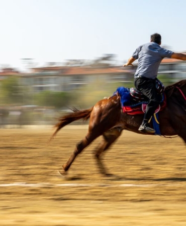 Erzurum'da Cirit Heyecanı Devam Ediyor
