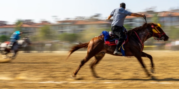 Erzurum'da Cirit Heyecanı Devam Ediyor