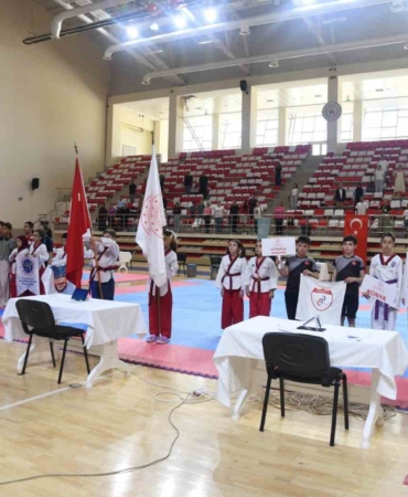 Eskişehir'de 2. İller Arası Taekwondo Poomsae Turnuvası Devam Ediyor