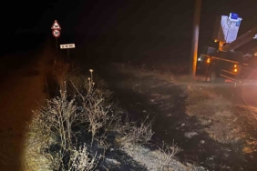 Eskişehir'de elektrik tellerine çarpan kuş yangın çıkardı